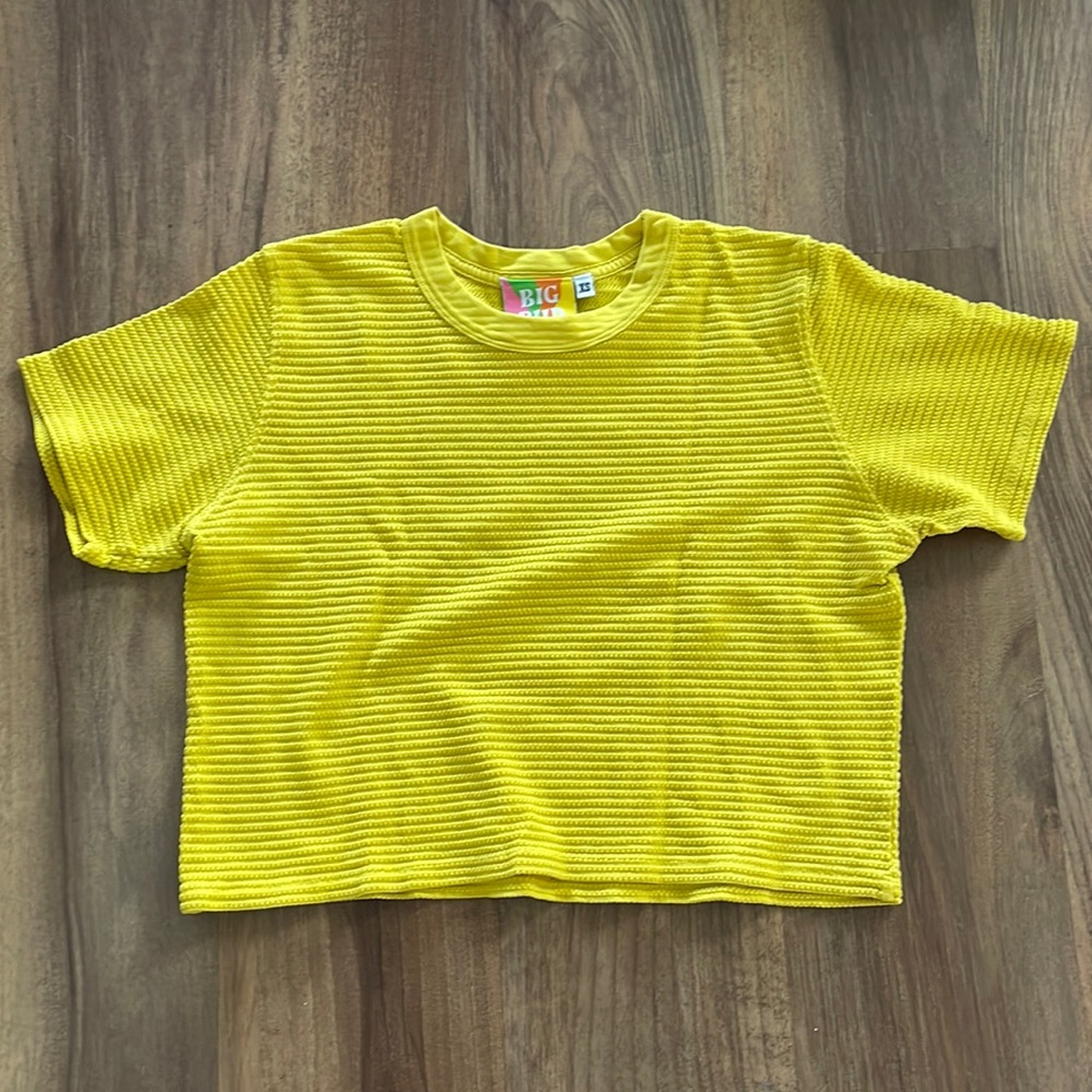 Big bud press cropped T shirt women’s size xs